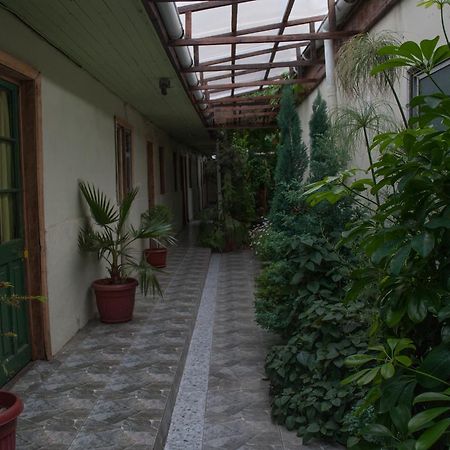 Hostel 1760 Talca  Dış mekan fotoğraf