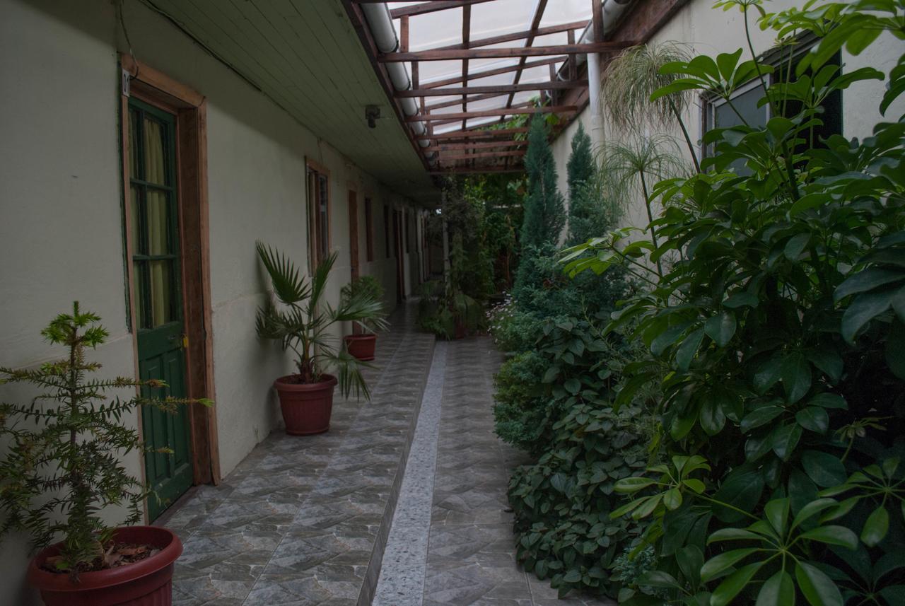 Hostel 1760 Talca  Dış mekan fotoğraf